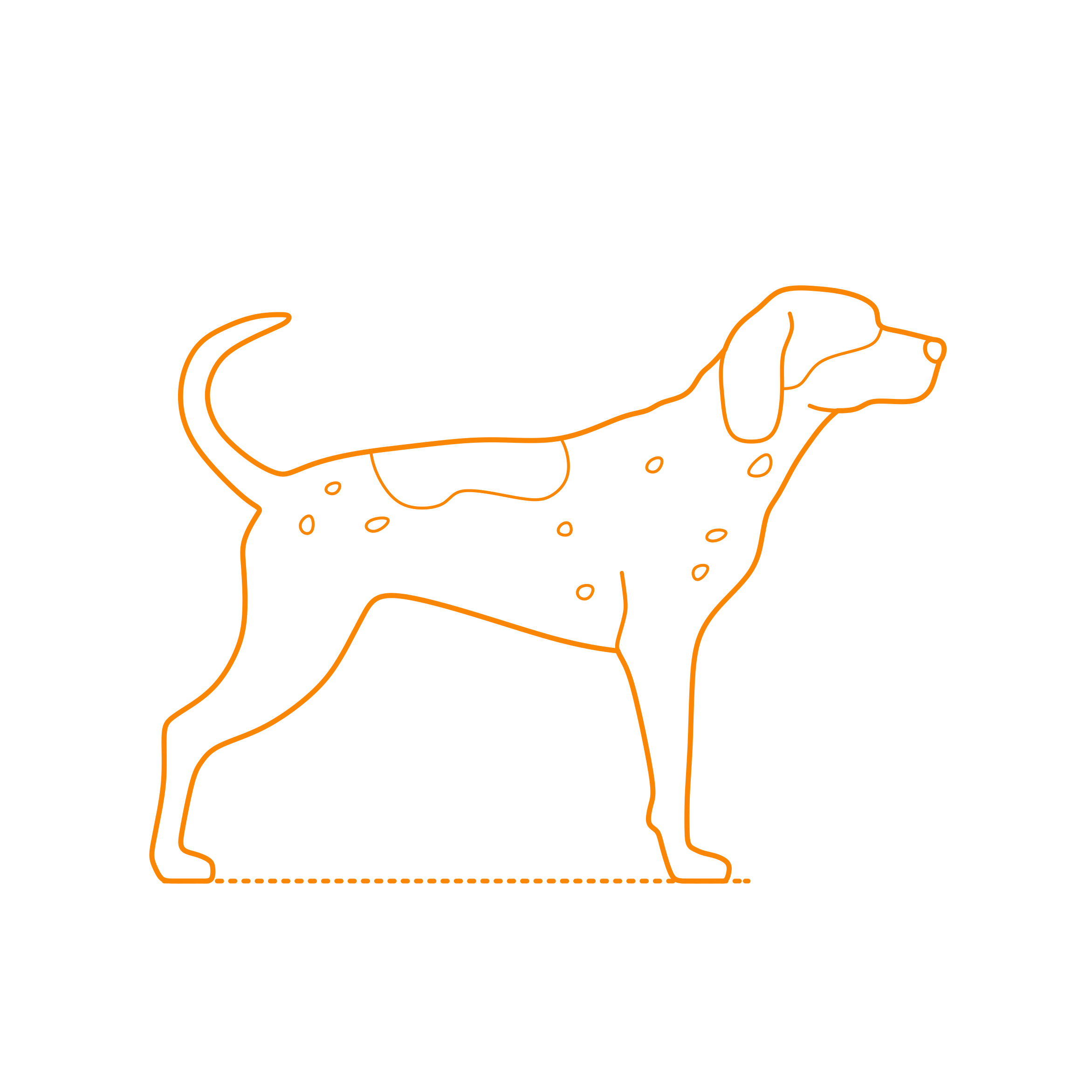 Animals Dogs Bluetick Coonhound Sketch Style Svg Vector Free Vectors